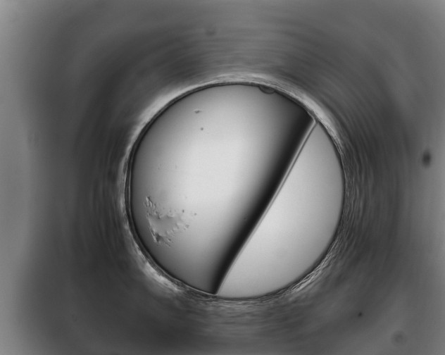 X0000100421102200806060942