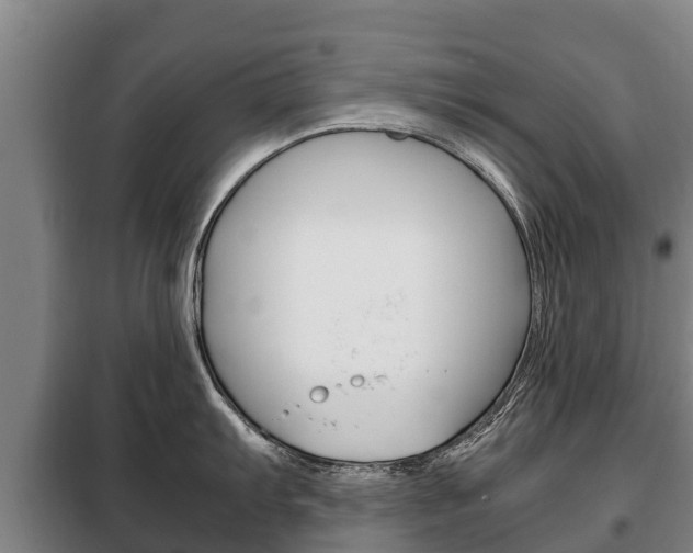 X0000100421103200806060942