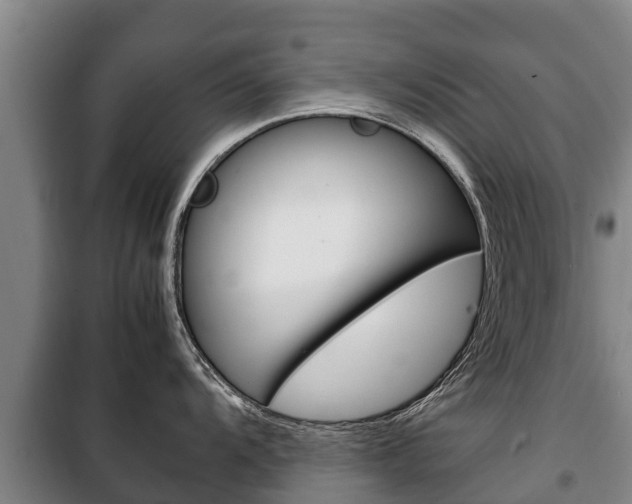 X0000100421104200806060942