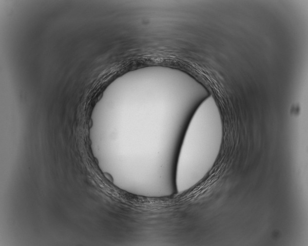 X0000100421105200806060942