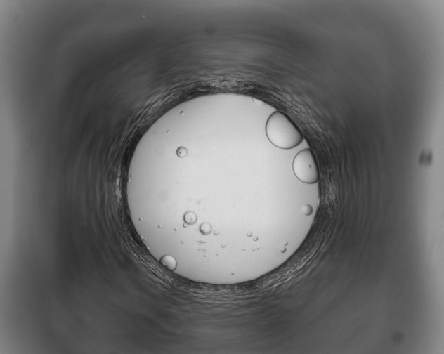 X0000100421106200806060942
