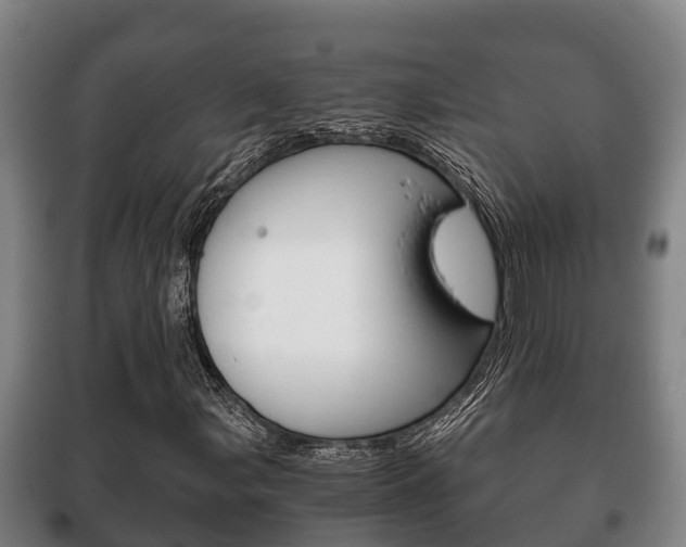 X0000100421107200806060942