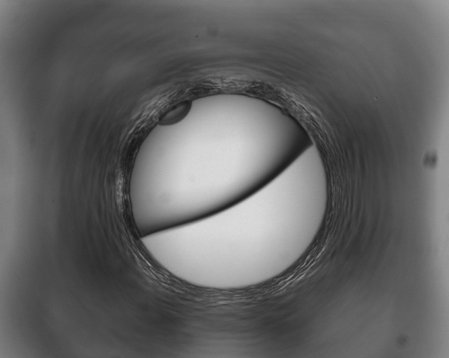 X0000100421108200806060942