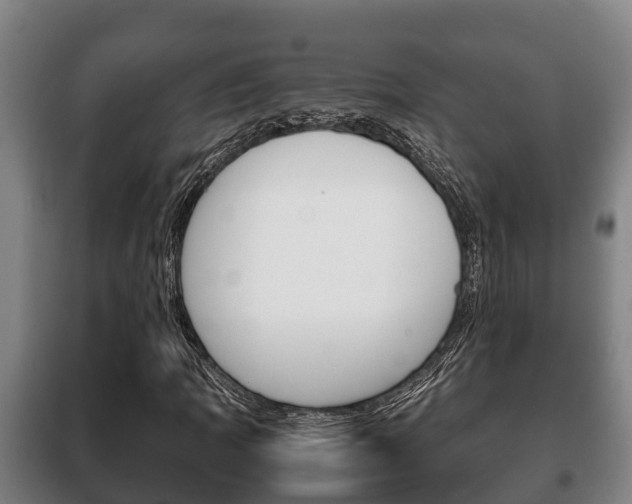 X0000100421109200806060942