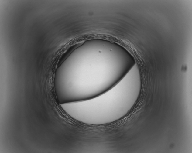X0000100421110200806060942