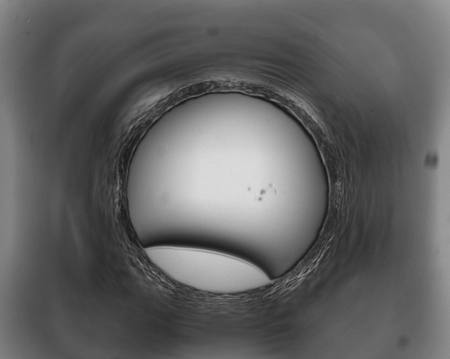 X0000100421111200806060942