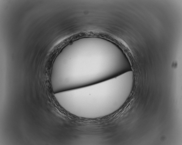 X0000100421112200806060942