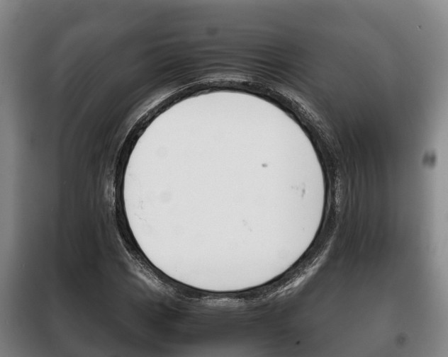 X0000100421113200806060942