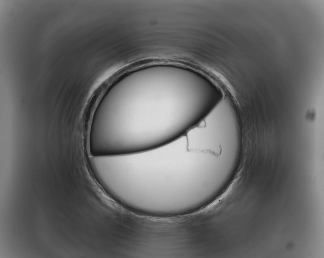 X0000100421114200806060942