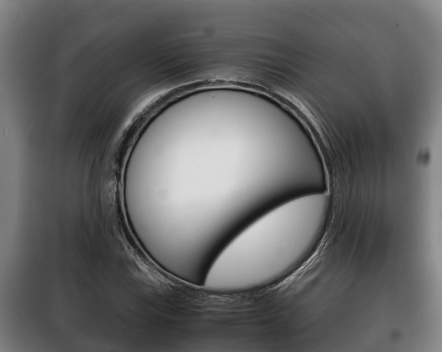 X0000100421115200806060942