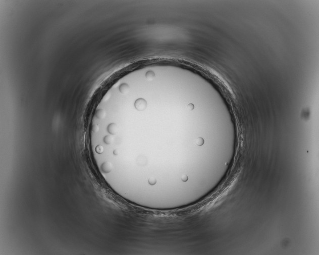 X0000100421117200806060942