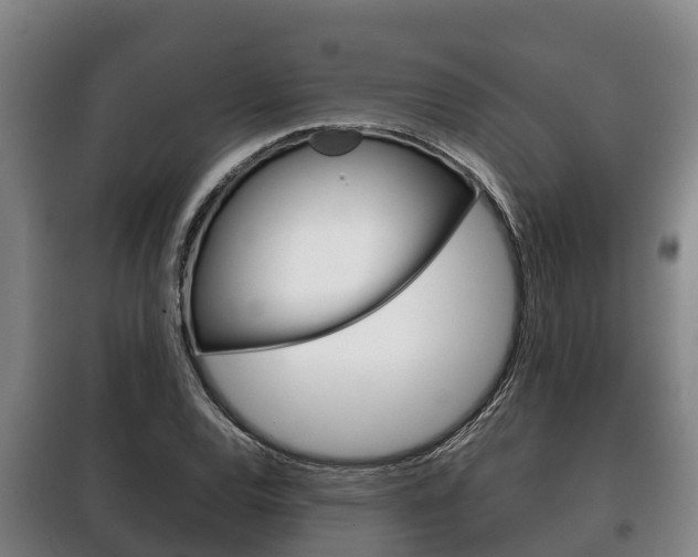 X0000100421120200806060942