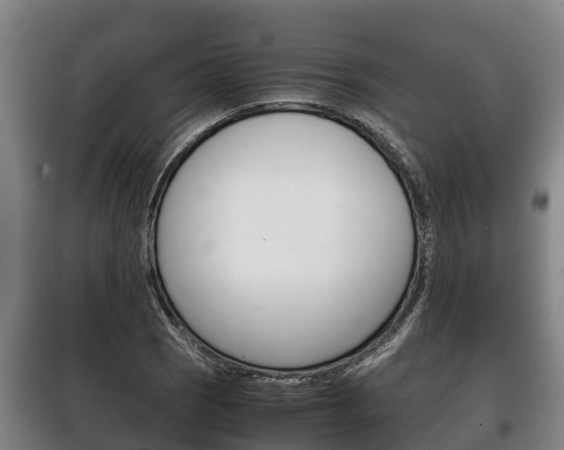 X0000100421121200806060942