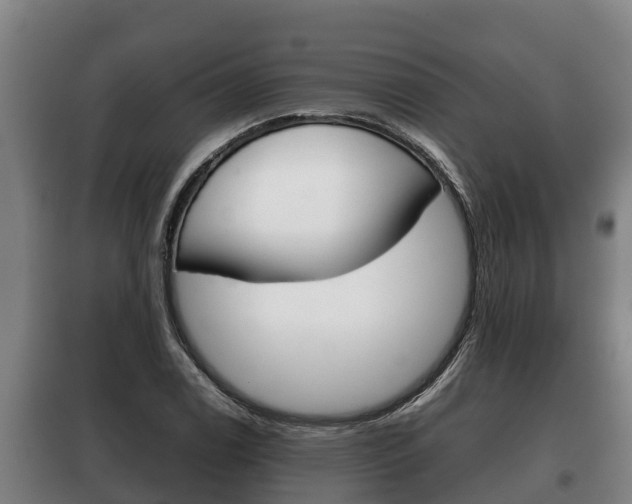 X0000100421122200806060942