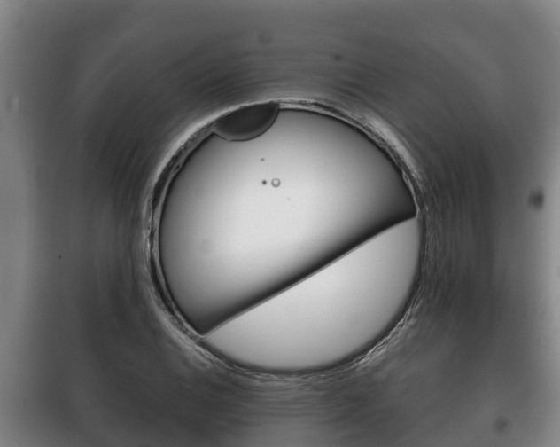 X0000100421124200806060942