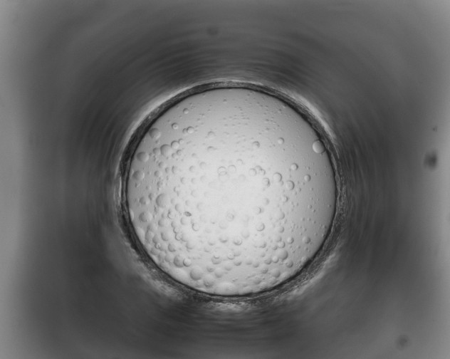 X0000100421125200806060942