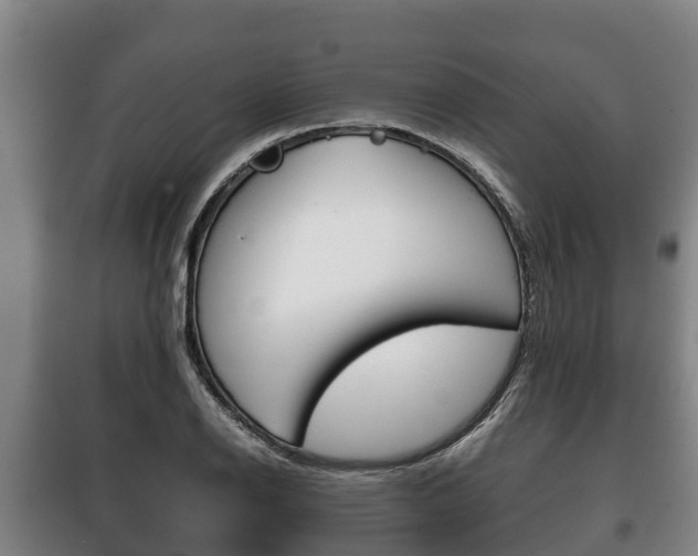 X0000100421126200806060942