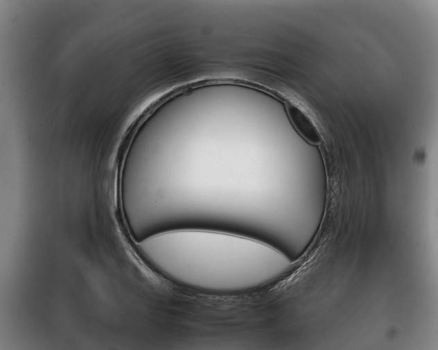 X0000100421127200806060942