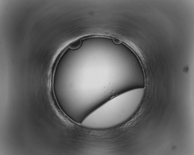 X0000100421128200806060942