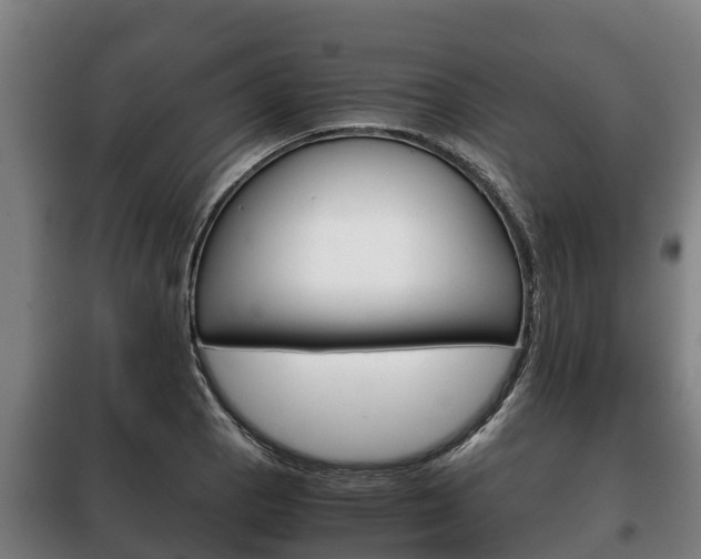 X0000100421129200806060942