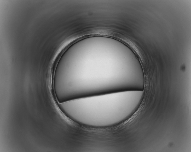 X0000100421131200806060942