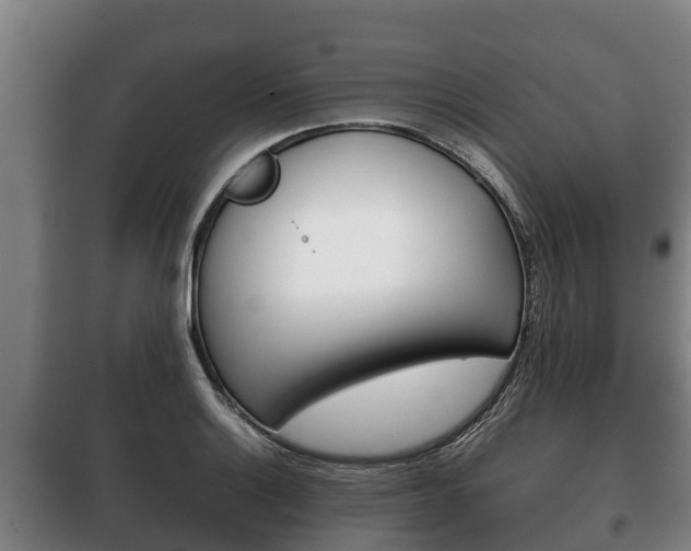 X0000100421132200806060942