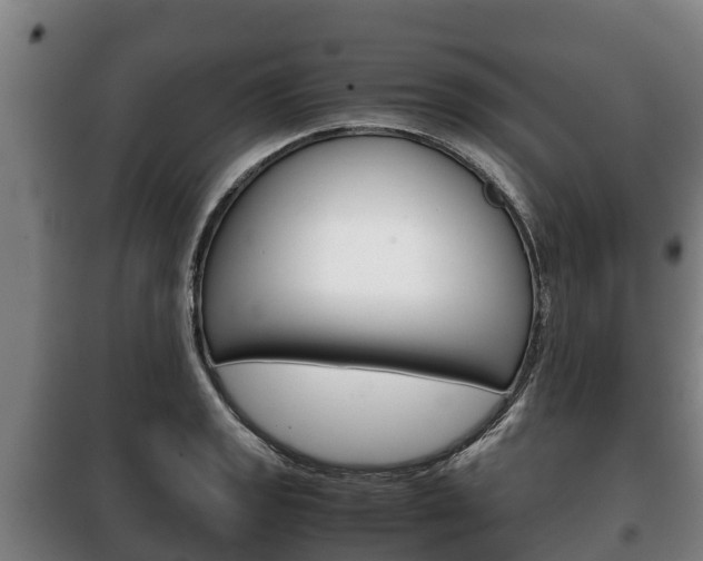 X0000100421133200806060942