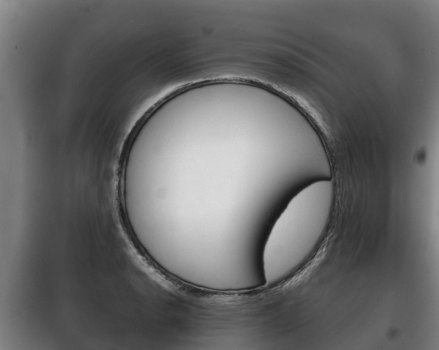 X0000100421134200806060942