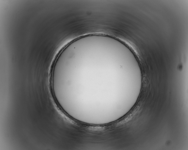 X0000100421135200806060942