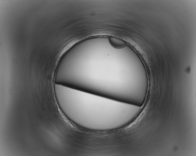 X0000100421137200806060942