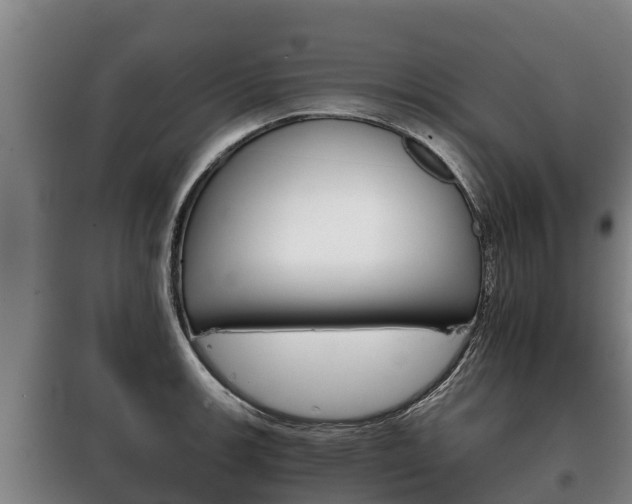 X0000100421139200806060942