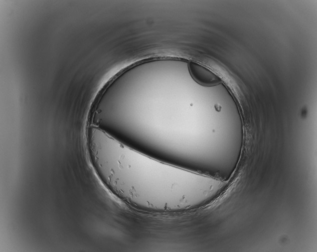 X0000100421141200806060942
