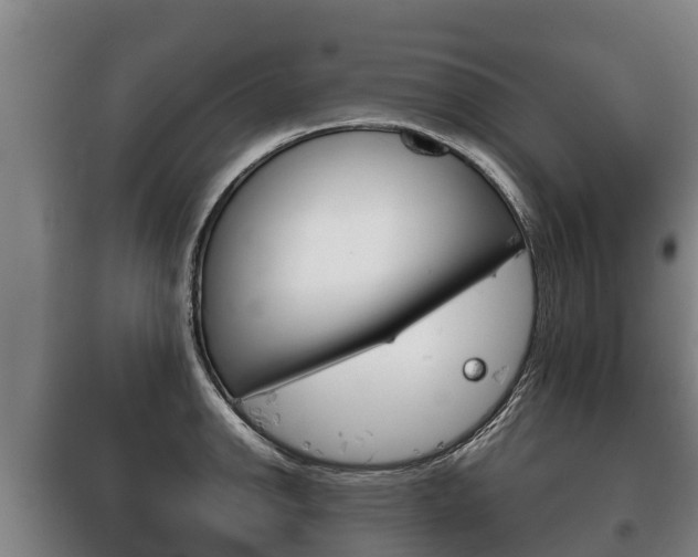 X0000100421142200806060942