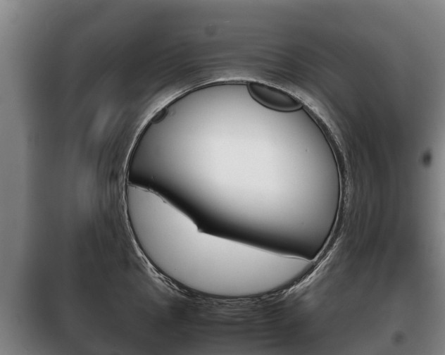 X0000100421145200806060942