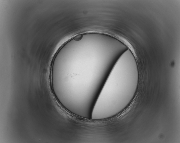 X0000100421146200806060942