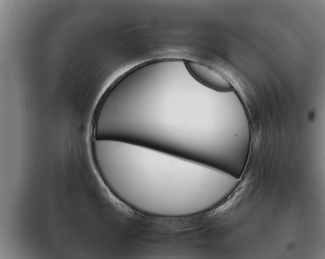 X0000100421149200806060942