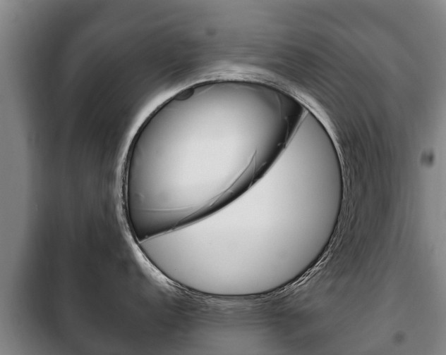 X0000100421152200806060942