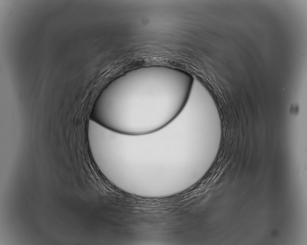 X0000100421153200806060942