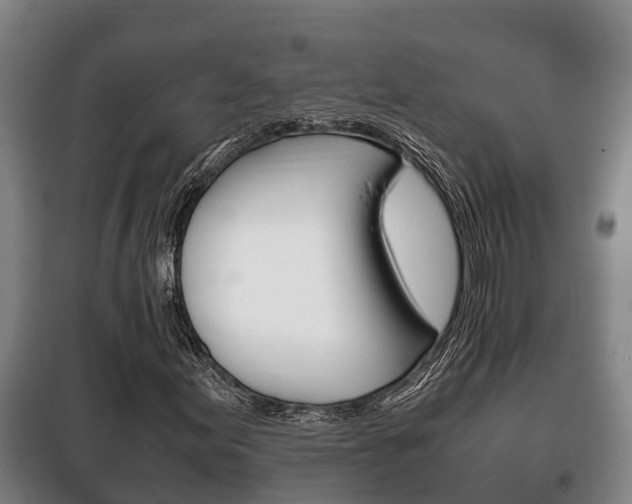 X0000100421155200806060942