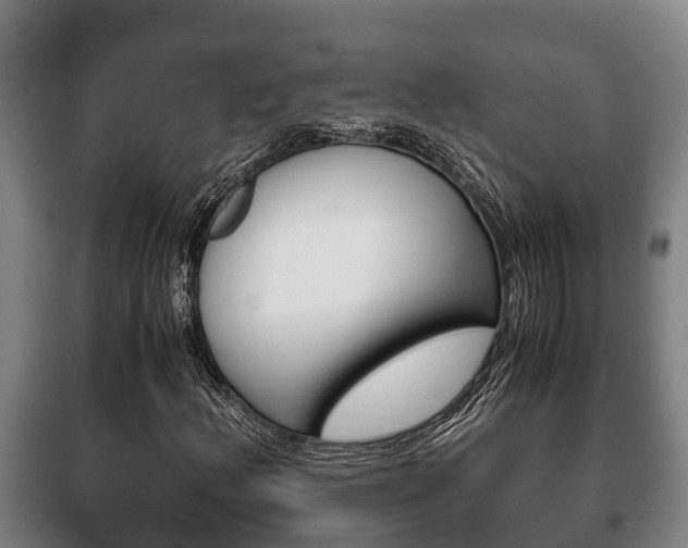 X0000100421156200806060942