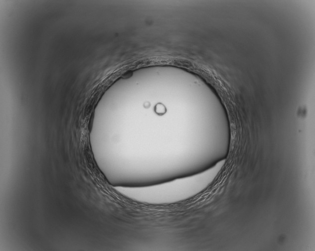 X0000100421157200806060942
