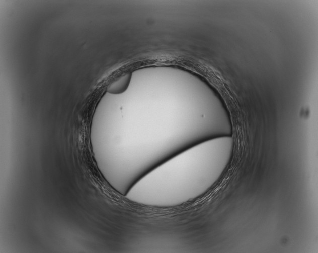 X0000100421158200806060942