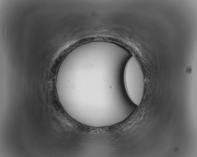 X0000100421159200806060942