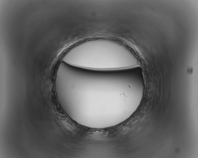 X0000100421160200806060941