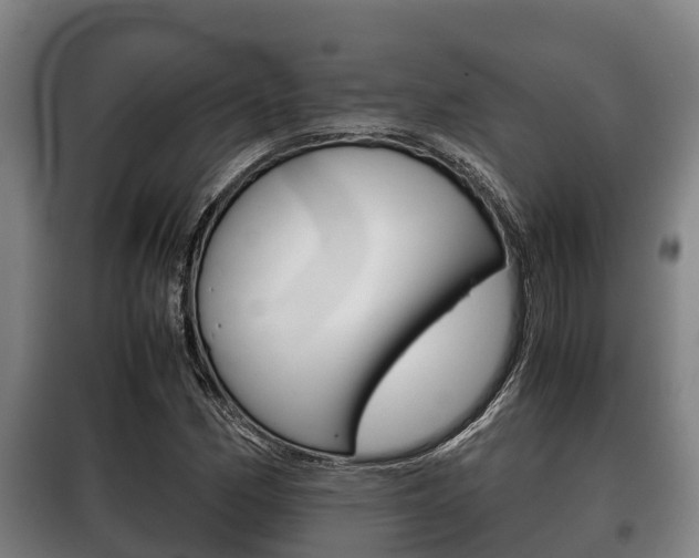 X0000100421162200806060941