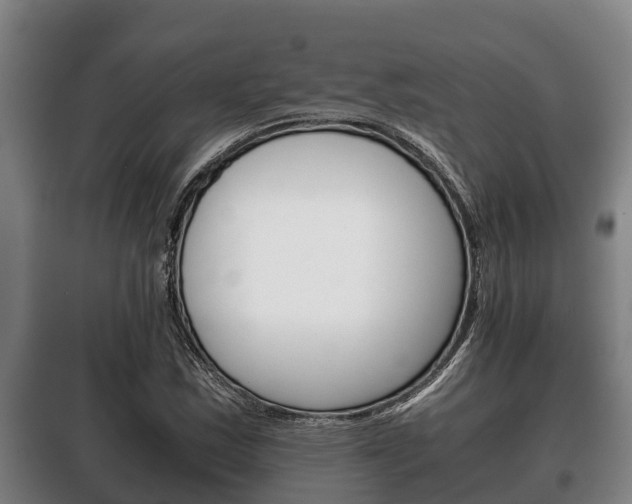 X0000100421163200806060941