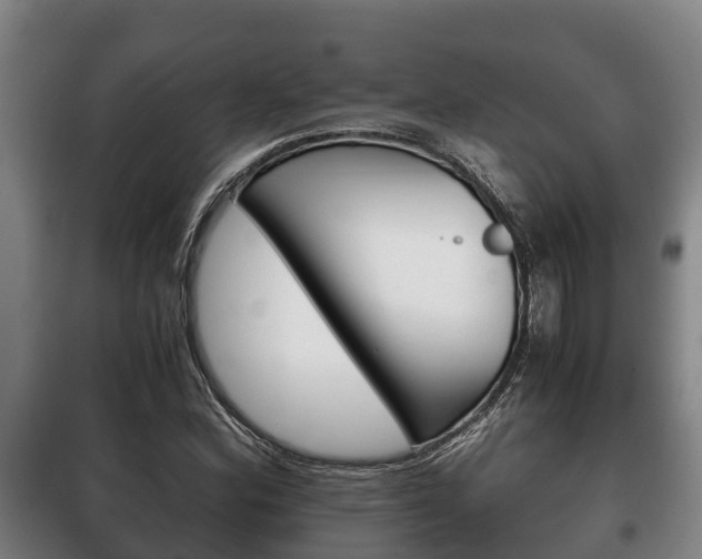 X0000100421164200806060941