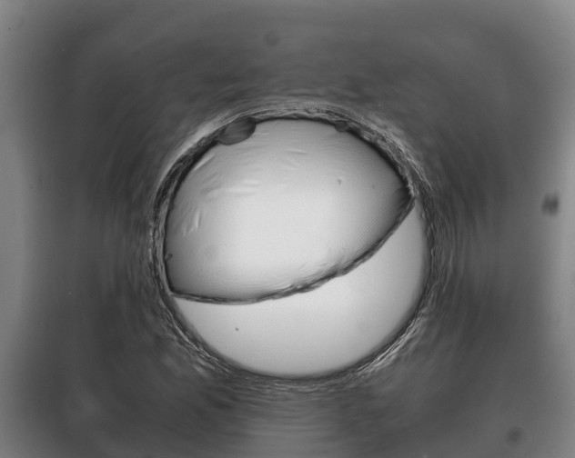 X0000100421165200806060941