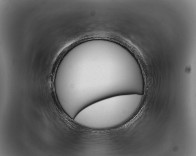 X0000100421166200806060941