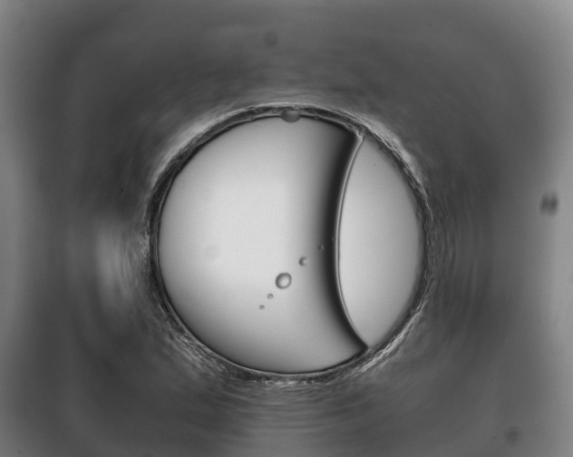 X0000100421167200806060941